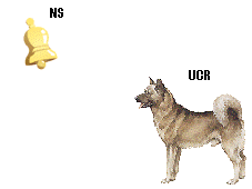 NS - UCS - UCR