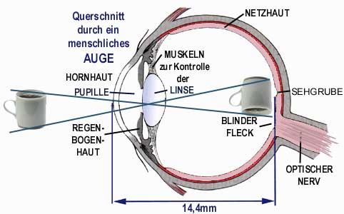 Die Bananenmaske unter den Augen