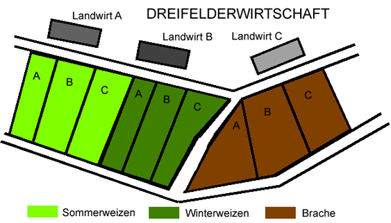 dreifeld.gif (35287 Byte)