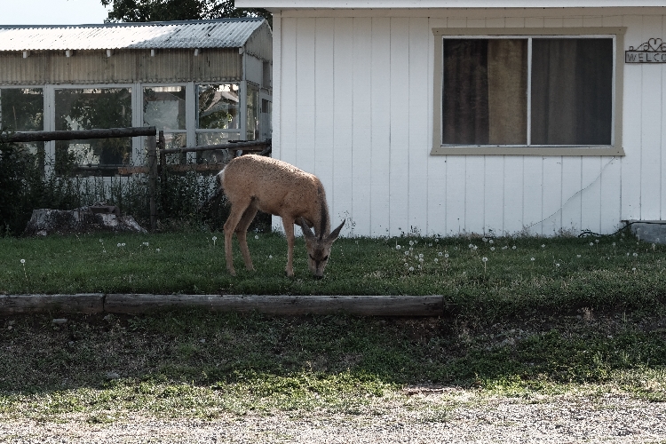 20170815 Idaho 4