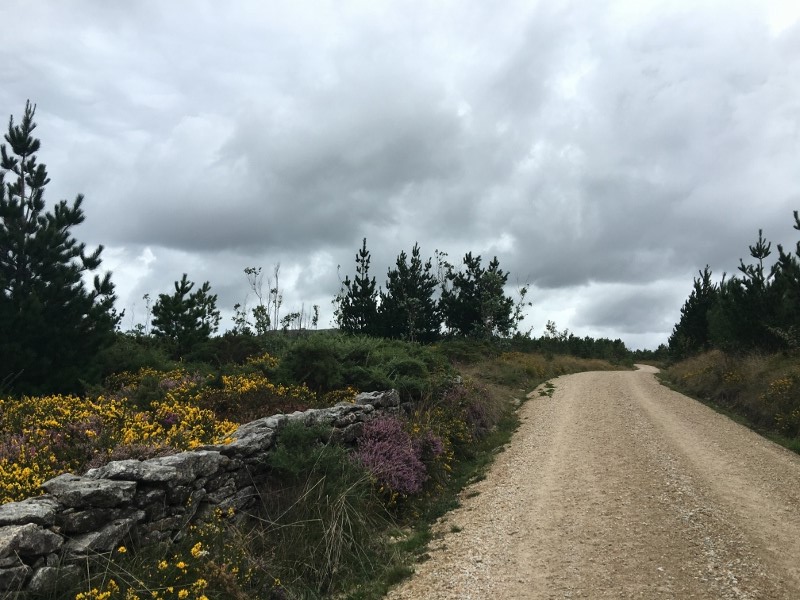 Auf dem Weg nach Finesterre Auf dem Weg nach Finesterre