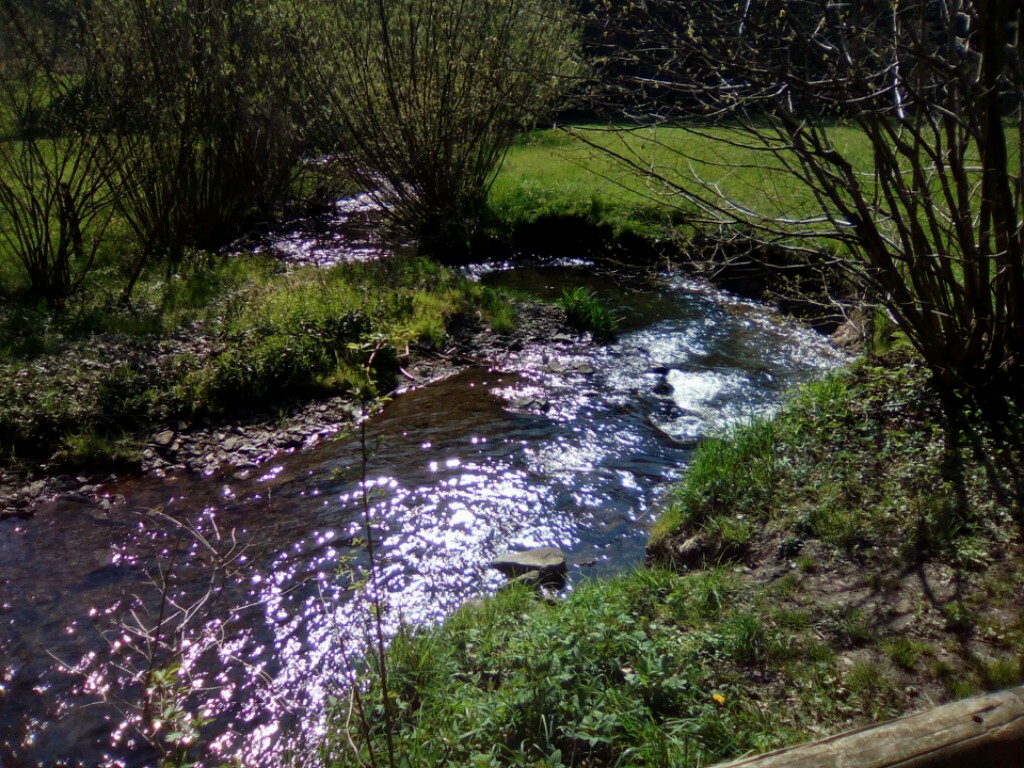 Eifgenbachtal