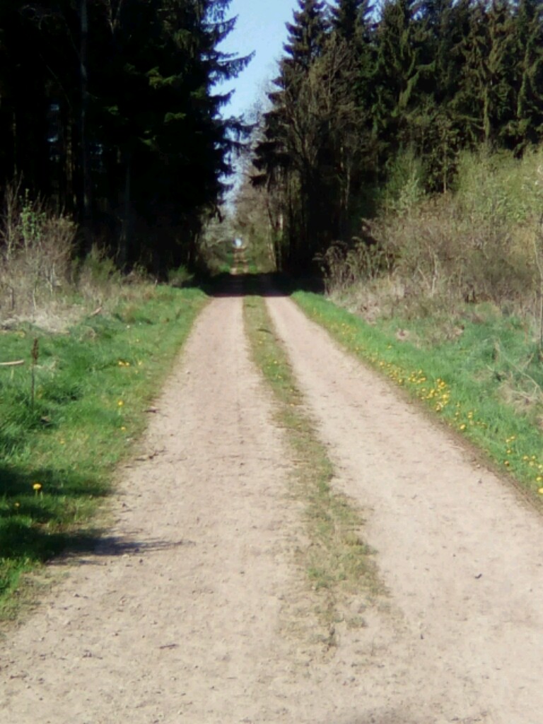 Camino Primitivo Camino Primitivo