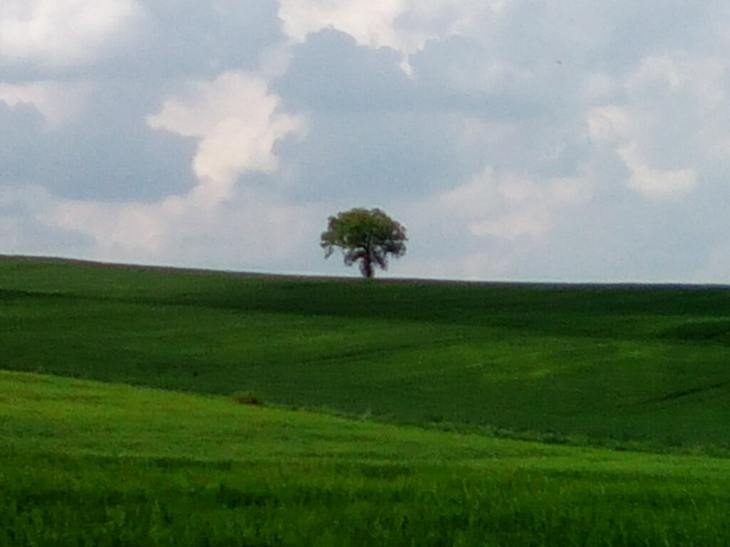 Eifel