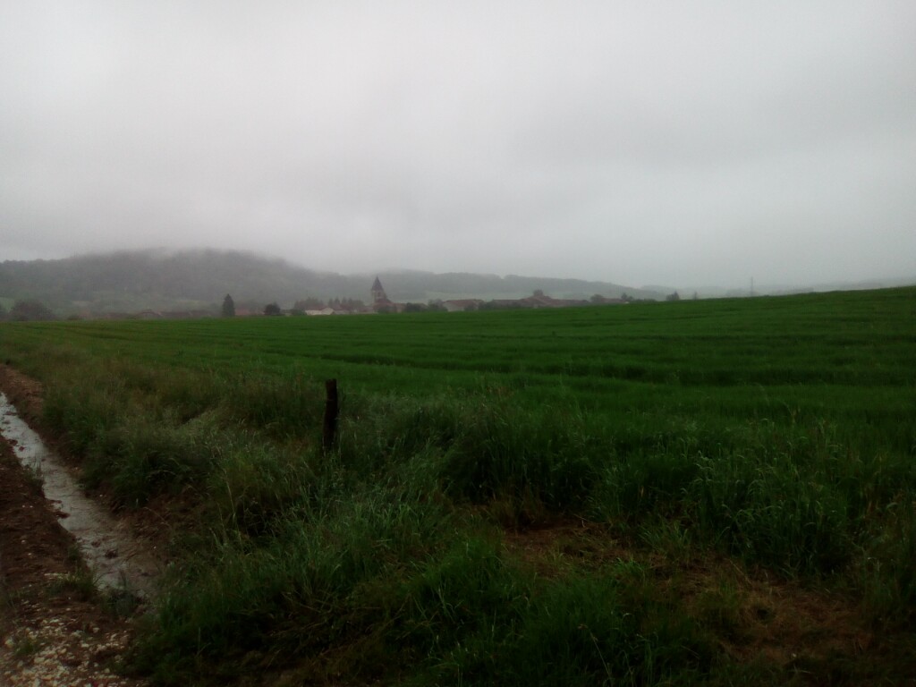 Nebelwetter