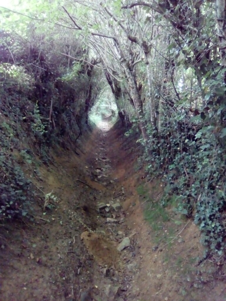 Durch diese hohle Gasse... Durch diese hohle Gasse...