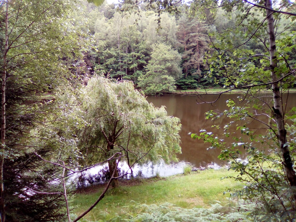 Von Châlus nach La Coquille 