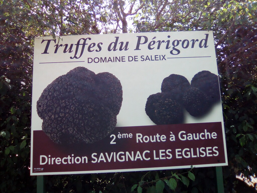 Trüffel im Périgord 
