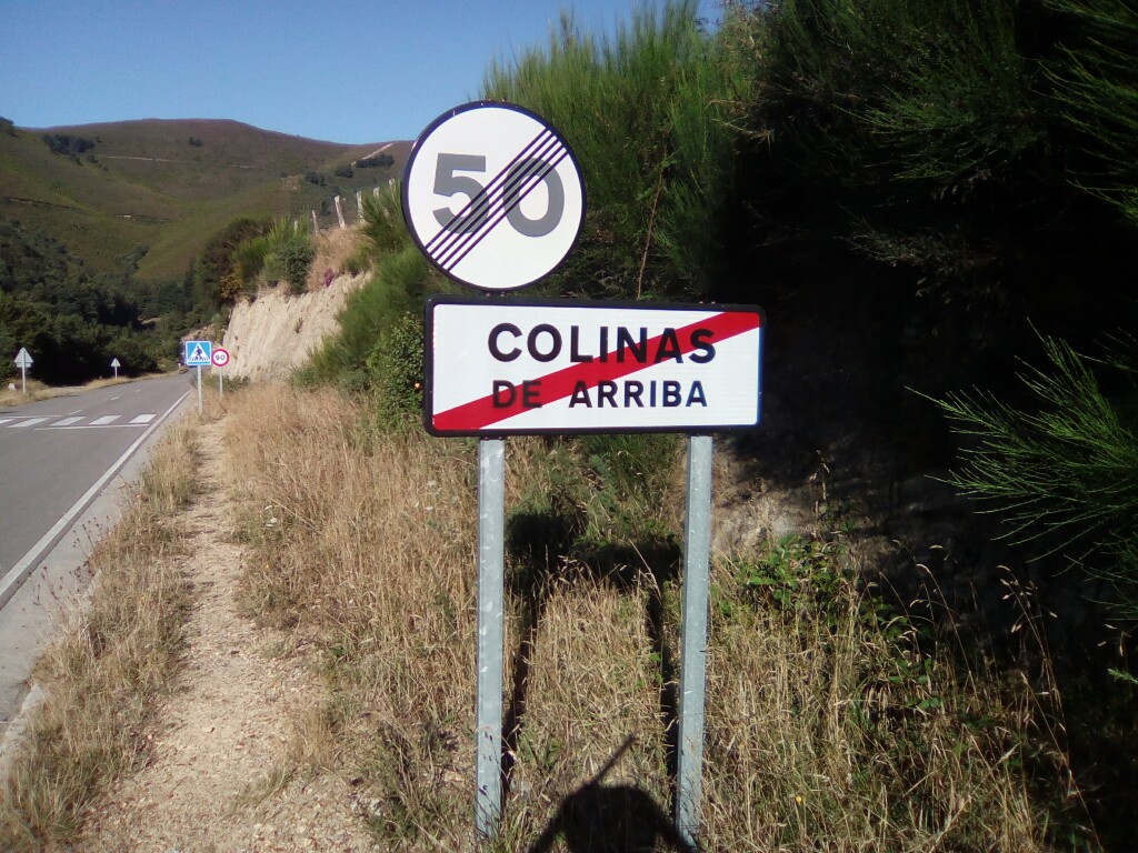 Viva Colonia