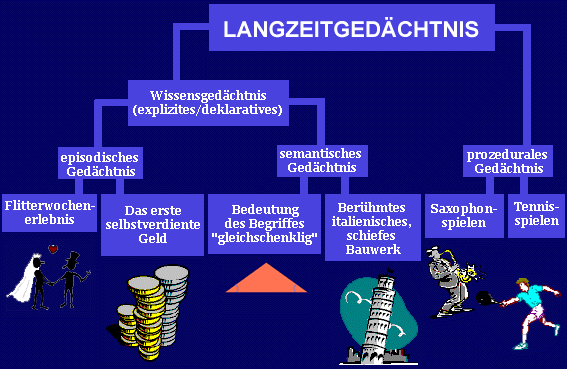 Das Langzeitgedchtnis