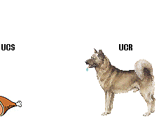 UCS - UCR