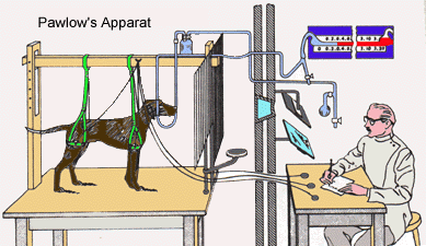 Der Apparat Pawlow's