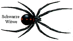 Black Widow